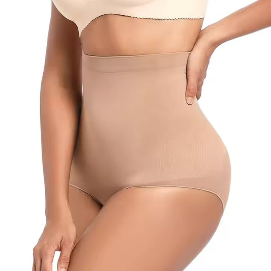WAISTED POTENTIAL | High Waist Sculpting Briefs